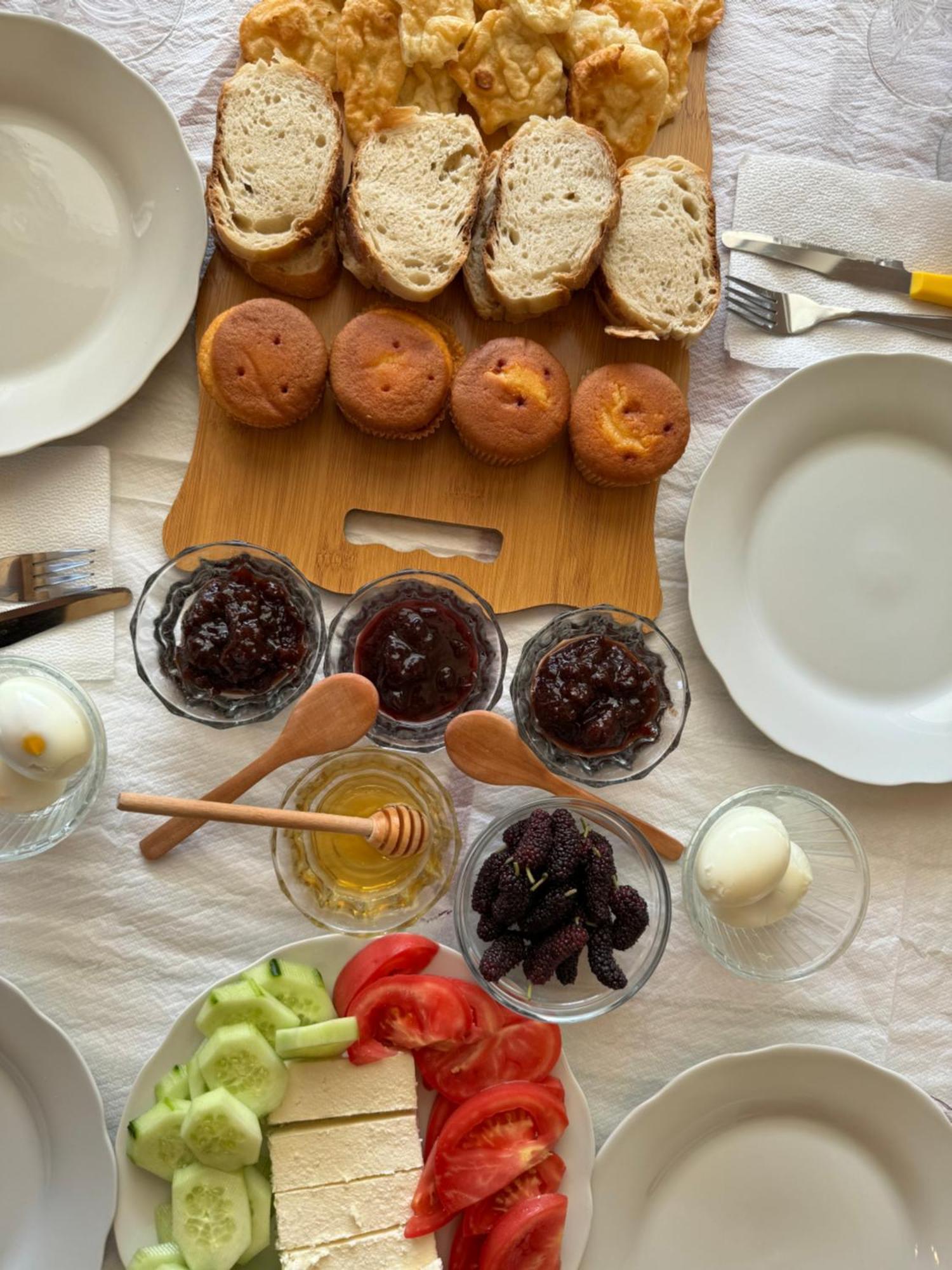 Qyteza & Apartament Szkodra