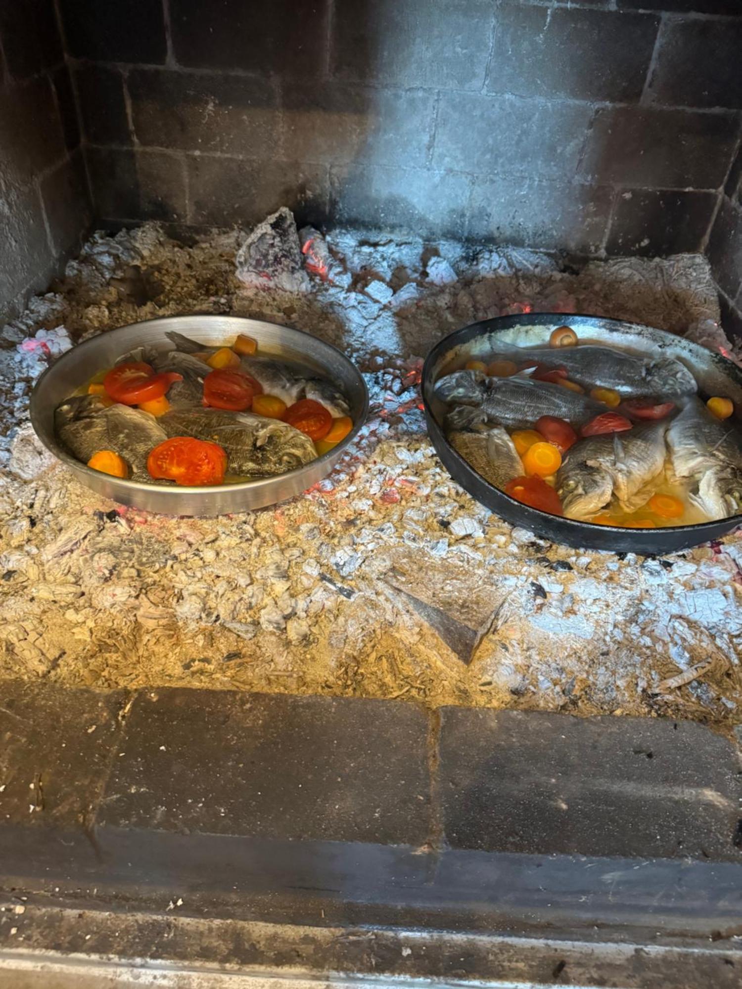 Qyteza & Apartament